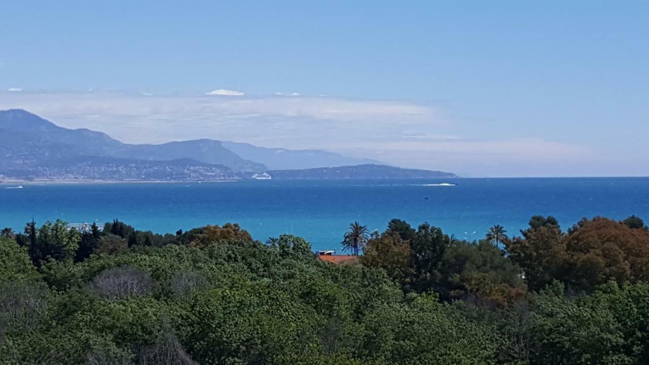 דירות אנטיב Studio Vista מראה חיצוני תמונה